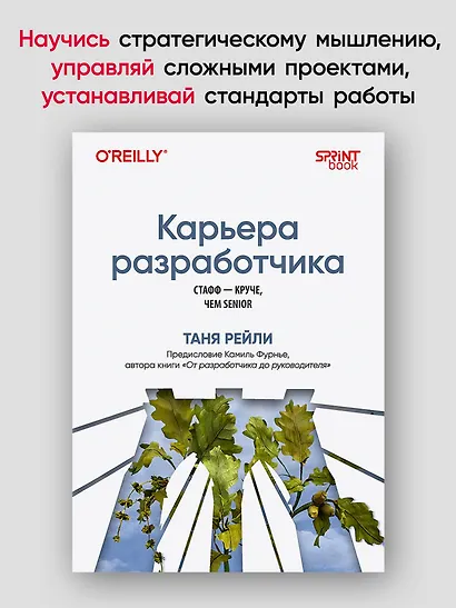 Карьера разработчика. Стафф - круче, чем senior - фото 3