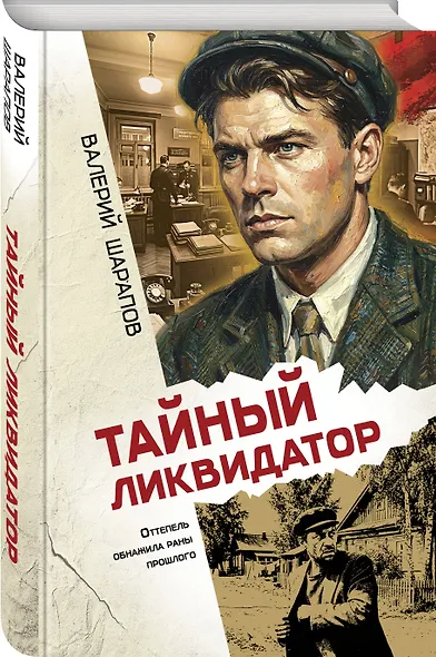 Тайный ликвидатор - фото 3