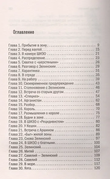 Срок для Бешеного - фото 2