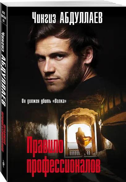 Правило профессионалов - фото 3