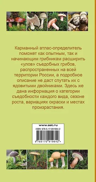 Грибы. Карманный атлас-определитель(1) = Самые распространенные съедобные грибы(2). (Оформление: 2) - фото 2
