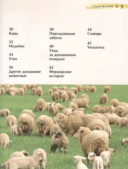 Животные фермы - фото 3