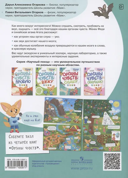 Органы чувств: слышу - фото 2