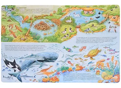 Мир животных. Виммельбух - фото 4