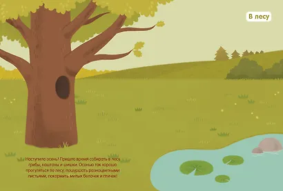 Мир вокруг - фото 4