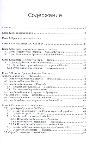 Систематика и родственные связи современных птиц (неворобьиные) - фото 2