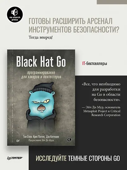Black Hat Go: Программирование для хакеров и пентестеров - фото 3