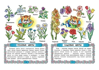 Первая книга знаний. - фото 2