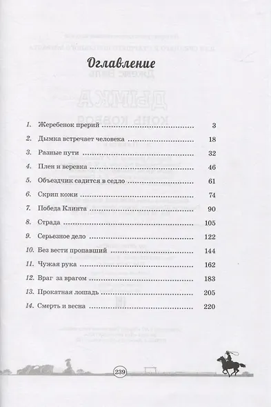 Дымка. Конь ковбоя - фото 2