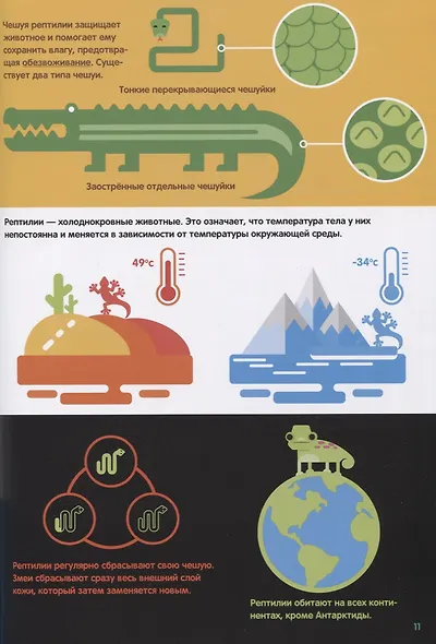 В мире животных. Инфографика - фото 6