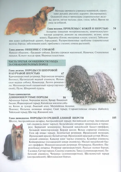 Груминг. Полное руководство по уходу за 170 породами собак - фото 3