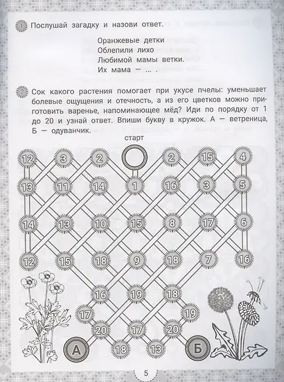 IQ-загадки и цветочные отгадки - фото 5