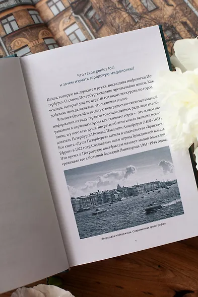 Мифы Петербурга. От сфинксов и проклятия Обводного канала до потопов и кровавой богини Сехмет - фото 9