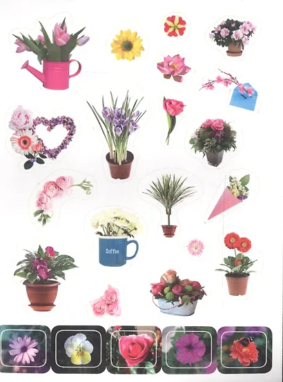 100 НАКЛЕЕК. ЦВЕТОЧКИ - фото 3