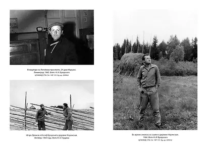 Иосиф Бродский: Опыт литературной биографии - фото 14