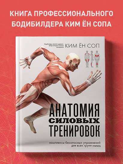 Анатомия силовых тренировок - фото 4