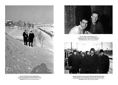 Иосиф Бродский: Опыт литературной биографии - фото 13