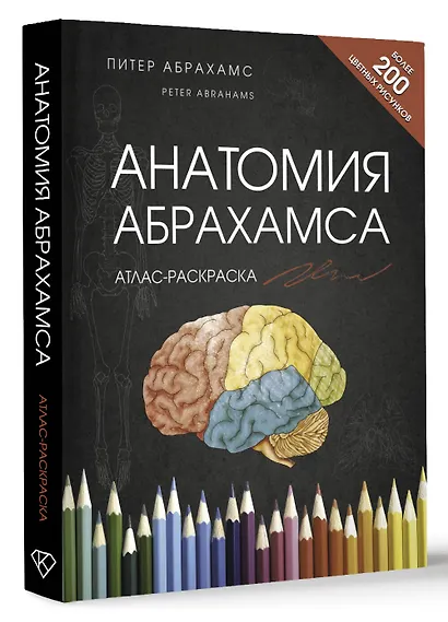 Анатомия Абрахамса. Атлас-раскраска - фото 3