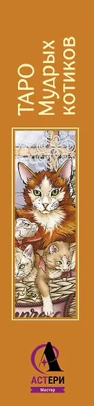 Таро Мудрых котиков. Душевная колода с добрыми предсказаниями. Гадай и отдыхай - фото 5