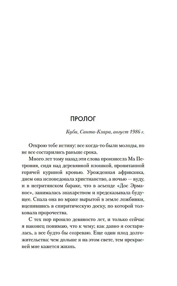 Мастер сахарного дела - фото 14