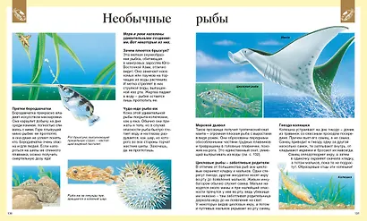 Детская энциклопедия. 250 чудес света - фото 7