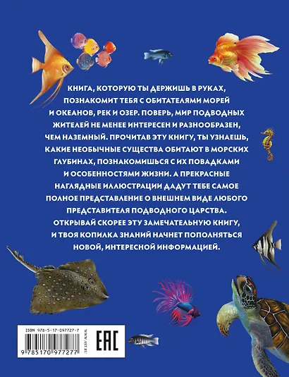 Подводный мир - фото 2