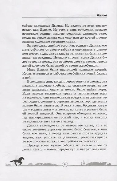 Дымка. Конь ковбоя - фото 6