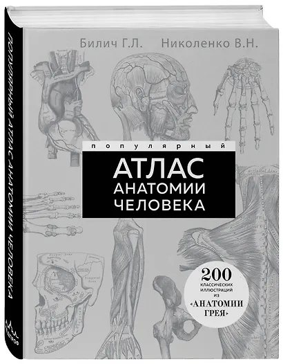 Популярный атлас анатомии человека. Анатомия Грея. 200 классических иллюстраций - фото 3