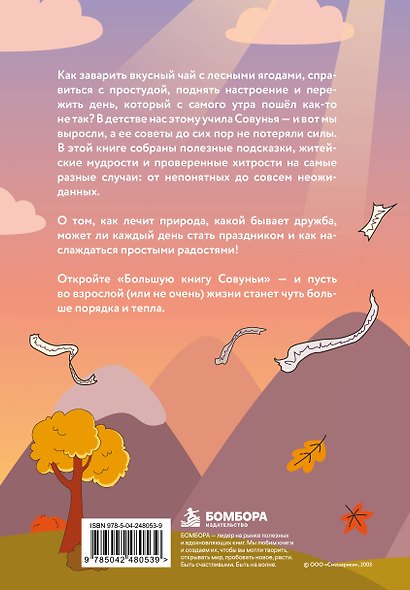 Большая книга Совуньи. Житейские мудрости, которых так не хватает во взрослой жизни - фото 2