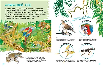 Гигантская энциклопедия для самых маленьких - фото 2