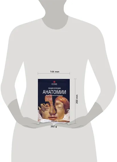 Энциклопедия анатомии. Музей Ла Спекола, Флоренция - фото 2