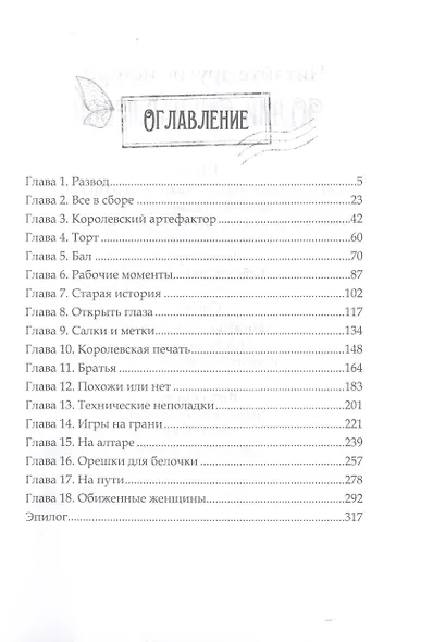 Воздушный атташе - фото 2