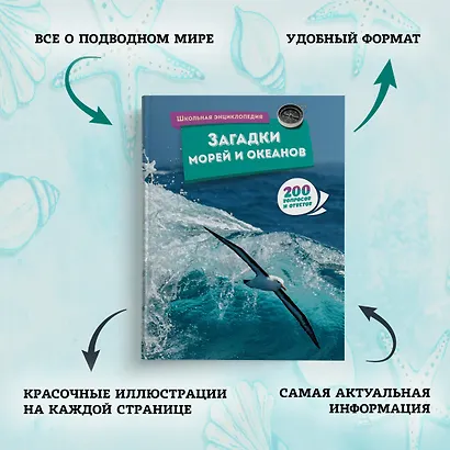 Загадки морей и океанов - фото 4