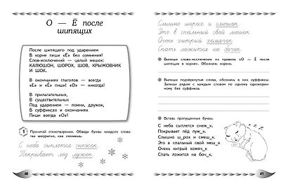 Развитие навыка грамотного письма: для детей 9-10 лет - фото 10