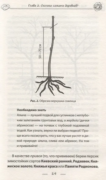 Как обустроить сад и зарабатывать на нем - фото 5