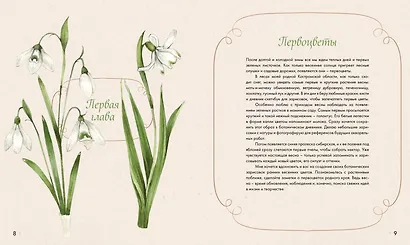 Акварельный лес. Ботанический дневник для любителей природы и акварели - фото 6