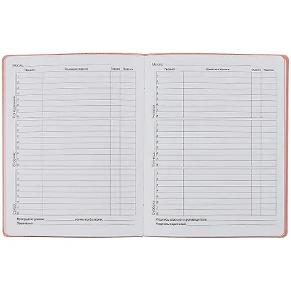 Дневник школьный Listoff, "Silver Lines. Super Girl" - фото 2