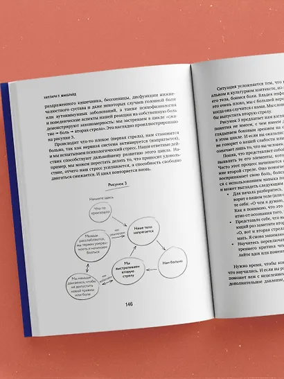 Мудрость тела. Как наладить отношения с собой и едой - фото 9