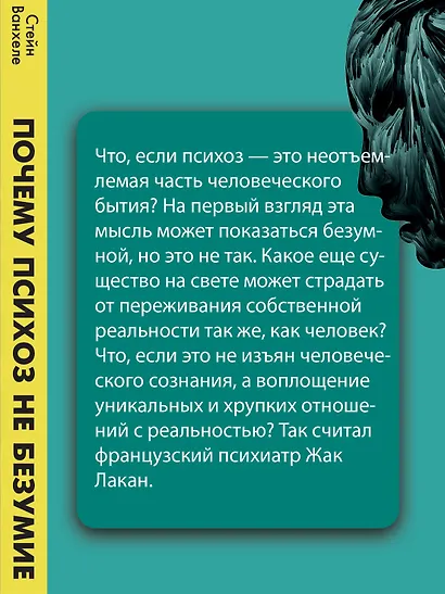 Почему психоз не безумие. Рекомендации для специалистов, пациентов и их родных - фото 5