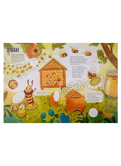 Атлас насекомых - фото 2