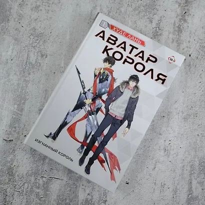 Аватар короля. Изгнанный король. Книга 1 - фото 7