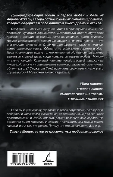 Мы сможем? - фото 3