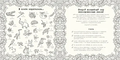 Удивительные джунгли. Книга для творчества и вдохновения - фото 3