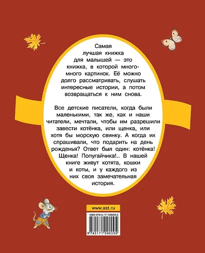 Как кот стал Котом-Котофеичем - фото 2