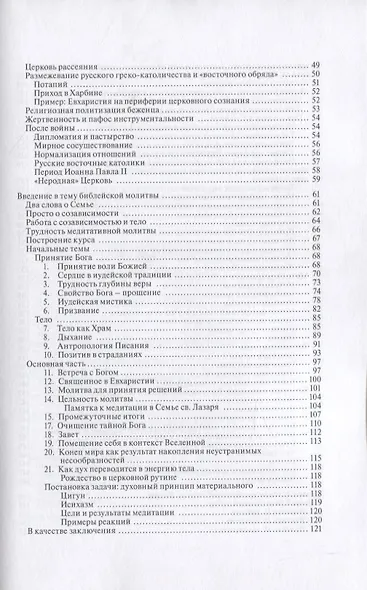 Духовный путь Семьи святого Лазаря (м) Священник Сергей Николенко - фото 3