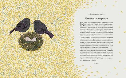 Книга исчезающих животных для неравнодушных сердец - фото 7