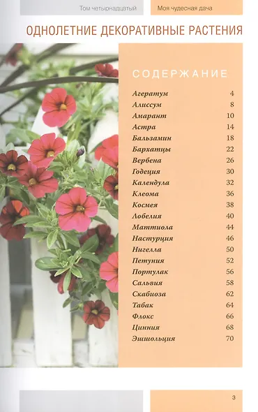 Моя чудесная дача Том 14 Однолетние декоративные растения - фото 2