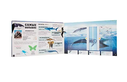 Чудо-животные - фото 2