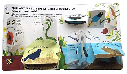 Как говорят животные - фото 3