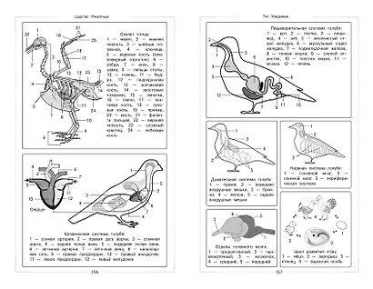 Биология - фото 12